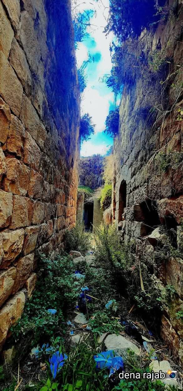 | موسوعة القرى الفلسطينية  | موسوعة القرى الفلسطينية